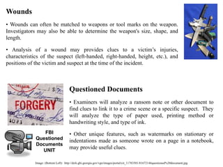 Image: (Bottom Left): http://dofs.gbi.georgia.gov/vgn/images/portal/cit_11783501/81672146questioned%20document.jpg
Questioned Documents
• Examiners will analyze a ransom note or other document to
find clues to link it to a crime scene or a specific suspect. They
will analyze the type of paper used, printing method or
handwriting style, and type of ink.
• Other unique features, such as watermarks on stationary or
indentations made as someone wrote on a page in a notebook,
may provide useful clues.
Wounds
• Wounds can often be matched to weapons or tool marks on the weapon.
Investigators may also be able to determine the weapon's size, shape, and
length.
• Analysis of a wound may provides clues to a victim’s injuries,
characteristics of the suspect (left-handed, right-handed, height, etc.), and
positions of the victim and suspect at the time of the incident.
FBI
Questioned
Documents
UNIT
 