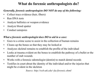 What do forensic anthropologists do?
Generally, forensic anthropologists DO NOT do any of the following:
• Collect trace evidence (hair, fibers)
• Run DNA tests
• Analyze ballistics or weapon evidence
• Analyze blood spatter
• Conduct autopsies
What a forensic anthropologist does DO to aid in a case:
• Goes to a crime scene to assist in the collection of human remains
• Cleans up the bones so that they may be looked at
• Analyzes skeletal remains to establish the profile of the individual
• Looks at trauma evident on the bones to establish the pathway of a bullet or the
number of stab wounds
• Works with a forensic odontologist (dentist) to match dental records
• Testifies in court about the identity of the individual and/or the injuries that
might be evident in the skeleton
Source: http://web.utk.edu/~fac/forensic.shtml
 