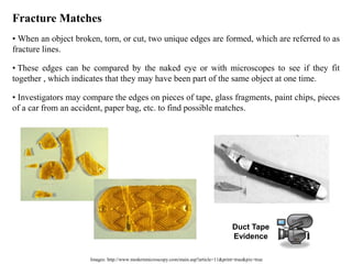 Images: http://www.modernmicroscopy.com/main.asp?article=11&print=true&pix=true
Fracture Matches
• When an object broken, torn, or cut, two unique edges are formed, which are referred to as
fracture lines.
• These edges can be compared by the naked eye or with microscopes to see if they fit
together , which indicates that they may have been part of the same object at one time.
• Investigators may compare the edges on pieces of tape, glass fragments, paint chips, pieces
of a car from an accident, paper bag, etc. to find possible matches.
Duct Tape
Evidence
 