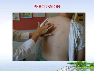 PERCUSSION
 