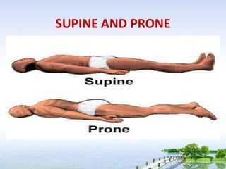 SUPINE AND PRONE
 