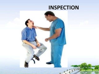INSPECTION
 