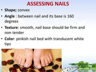 ASSESSING NAILS
• Shape; convex
• Angle : between nail and its base is 160
degrees
• Texture: smooth, nail base should be firm and
non tender
• Color: pinkish nail bed with translucent white
tips
• Capillary refill
 
