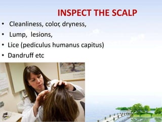INSPECT THE SCALP
• Cleanliness, color, dryness,
• Lump, lesions,
• Lice (pediculus humanus capitus)
• Dandruff etc
 