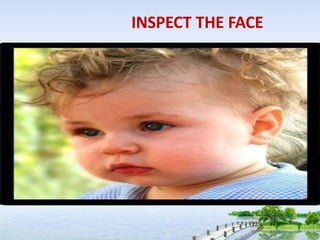 INSPECT THE FACE
 