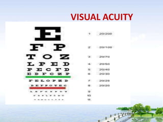 VISUAL ACUITY
 