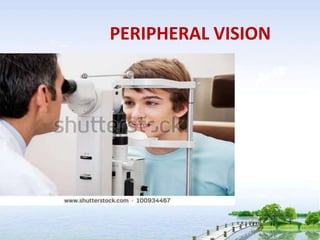 PERIPHERAL VISION
 