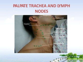 PALPATE TRACHEA AND LYMPH
NODES
 