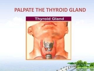 PALPATE THE THYROID GLAND
 