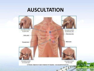 AUSCULTATION
 