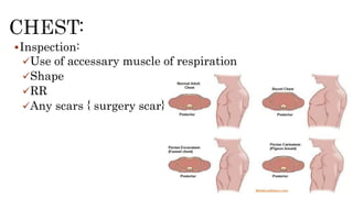 Inspection:
Use of accessary muscle of respiration
Shape
RR
Any scars { surgery scar}
 