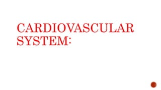 CARDIOVASCULAR
SYSTEM:
 