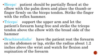Biceps: patient should be partially flexed at the
elbow with the palm down and place the thumb or
finger firmly on the biceps tendon. Strike the finger
with the reflex hammer.
Triceps: support the upper arm and let the
patient’s forearm hang free and strike the triceps
tendon above the elbow with the broad side of the
hammer
Brachioradialis: have the patient rest the forearm
on the abdomen or lap, strike the radius about 1.2
inches above the wrist and watch for flexion and
supination of the forearm
 