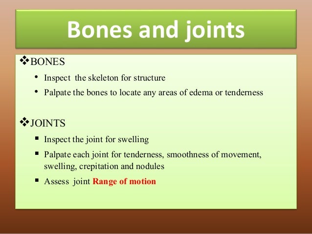 physical exam normal findings