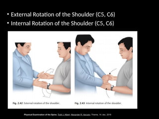 Physical Examination Cervical and Lumbar Spine.pptx
