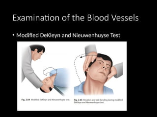 Delikan Test Physical Examination Cervical and Lumbar Spine.pptx