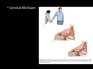 Test For Cervical Rib Physical Examination Cervical and Lumbar Spine.pptx