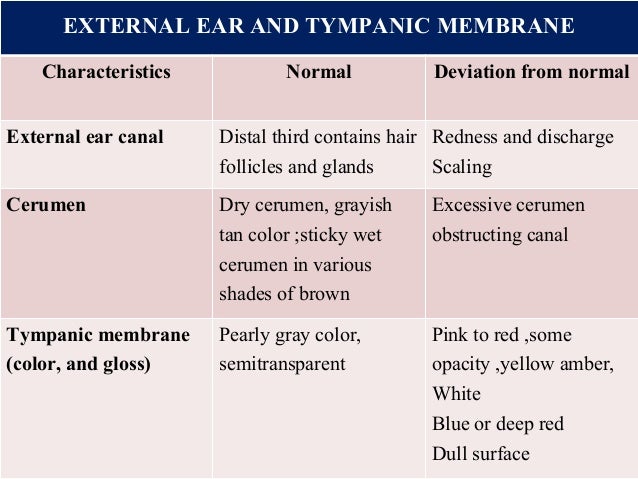 physical exam normal findings physical exam normal findings