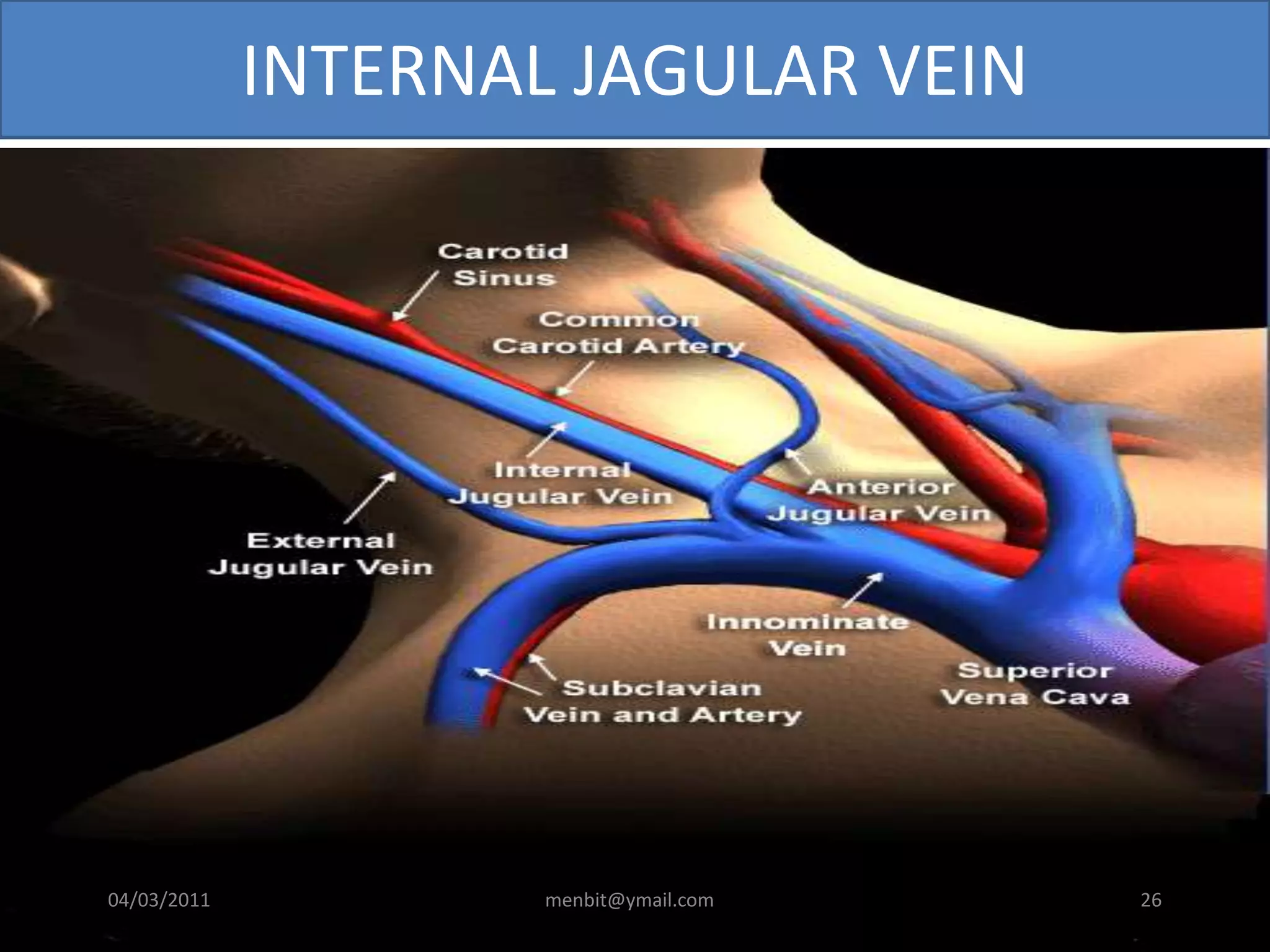 INTERNAL JAGULAR VEIN
04/03/2011 menbit@ymail.com 26
 