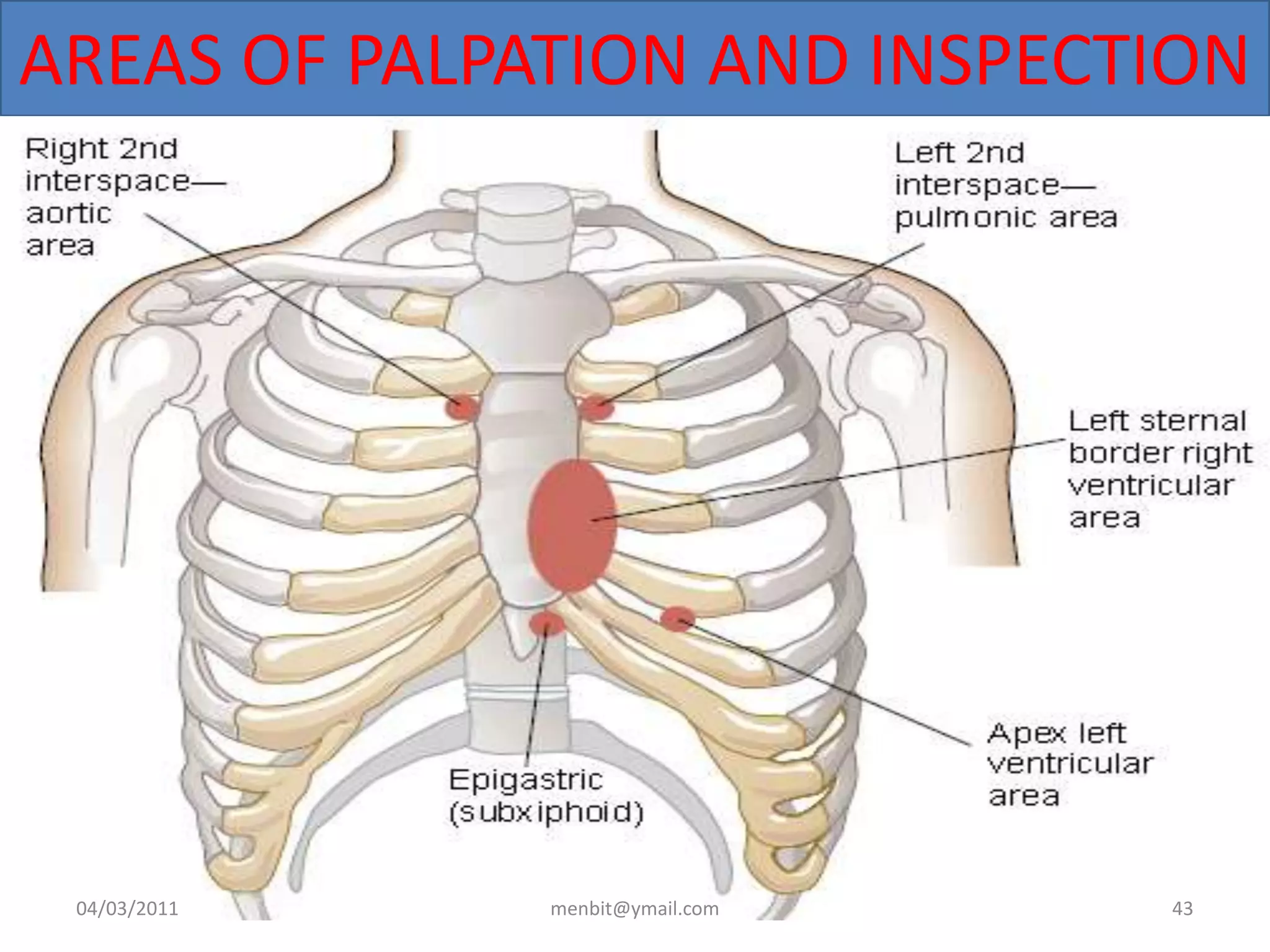 AREAS OF PALPATION AND INSPECTION
04/03/2011 menbit@ymail.com 43
 