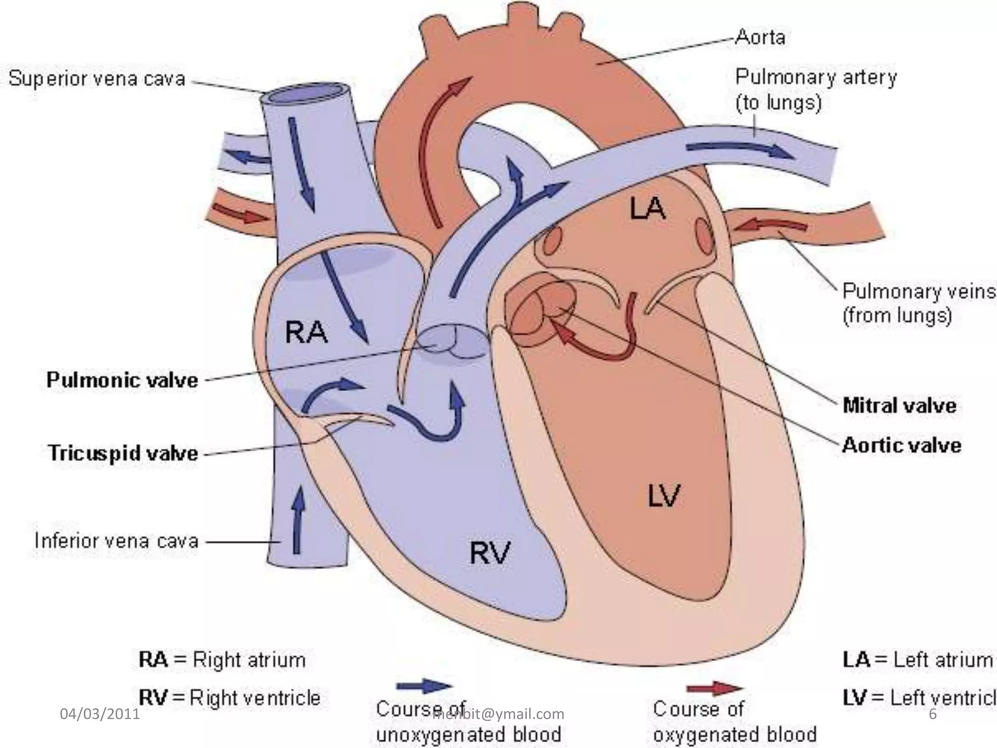 04/03/2011 menbit@ymail.com 6
 