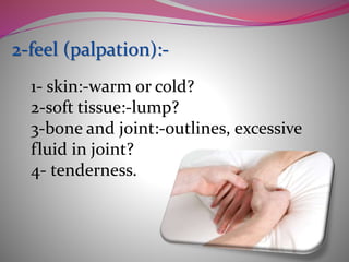 Palpably Feel Physical examination of orthopaedic | PPTX