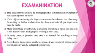 Tread Impression Example Physical Examination Of Tyre Marks | PPTX