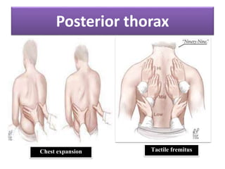 Friction Fremitus Physical examination thorax and lungs | PPTX