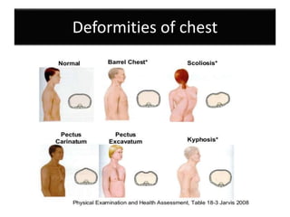 Physical examination thorax and lungs | PPTX