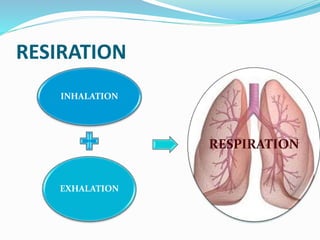 RESIRATION
INHALATION
EXHALATION
RESPIRATION
 