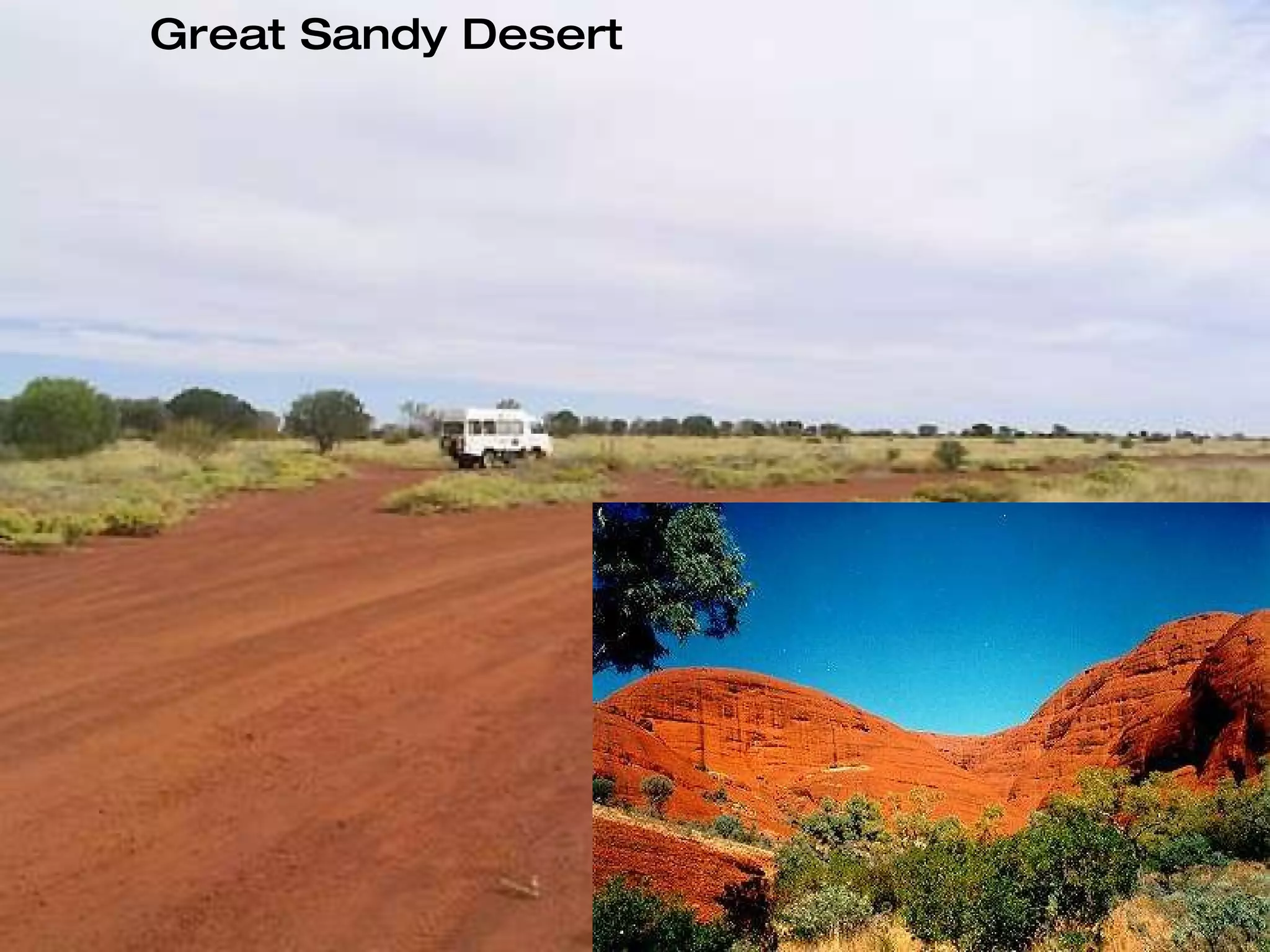 Great Sandy Desert 