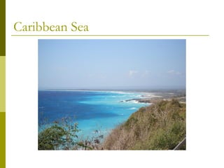 Caribbean Sea
 