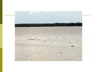 Physical featuresoflatinamerica