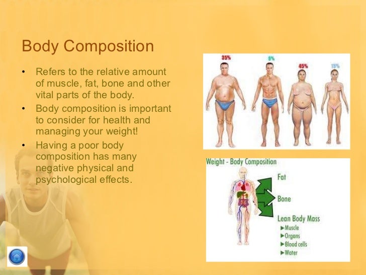 body composition definition