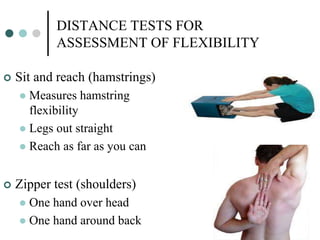 Physical Fitness Assessment | PPT