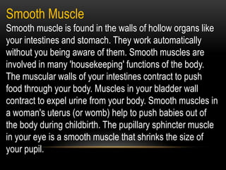 Smooth Muscle
Smooth muscle is found in the walls of hollow organs like
your intestines and stomach. They work automatically
without you being aware of them. Smooth muscles are
involved in many 'housekeeping' functions of the body.
The muscular walls of your intestines contract to push
food through your body. Muscles in your bladder wall
contract to expel urine from your body. Smooth muscles in
a woman's uterus (or womb) help to push babies out of
the body during childbirth. The pupillary sphincter muscle
in your eye is a smooth muscle that shrinks the size of
your pupil.
 