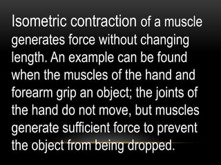 Isometric contraction of a muscle
generates force without changing
length. An example can be found
when the muscles of the hand and
forearm grip an object; the joints of
the hand do not move, but muscles
generate sufficient force to prevent
the object from being dropped.
 
