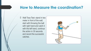 How to Measure the coordination?
🠶 Wall Toss-Test- stand in two
meter in front of the wall,
start with throwing the ball
with right hand and catch it
with the left hand, continue
the action in 30 seconds
and record the successful
catches.
 