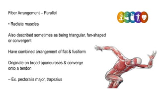 Physical Health 3 | PPTX