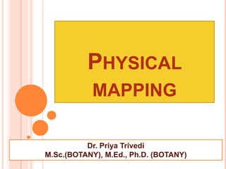 PHYSICAL
MAPPING
Dr. Priya Trivedi
M.Sc.(BOTANY), M.Ed., Ph.D. (BOTANY)
 