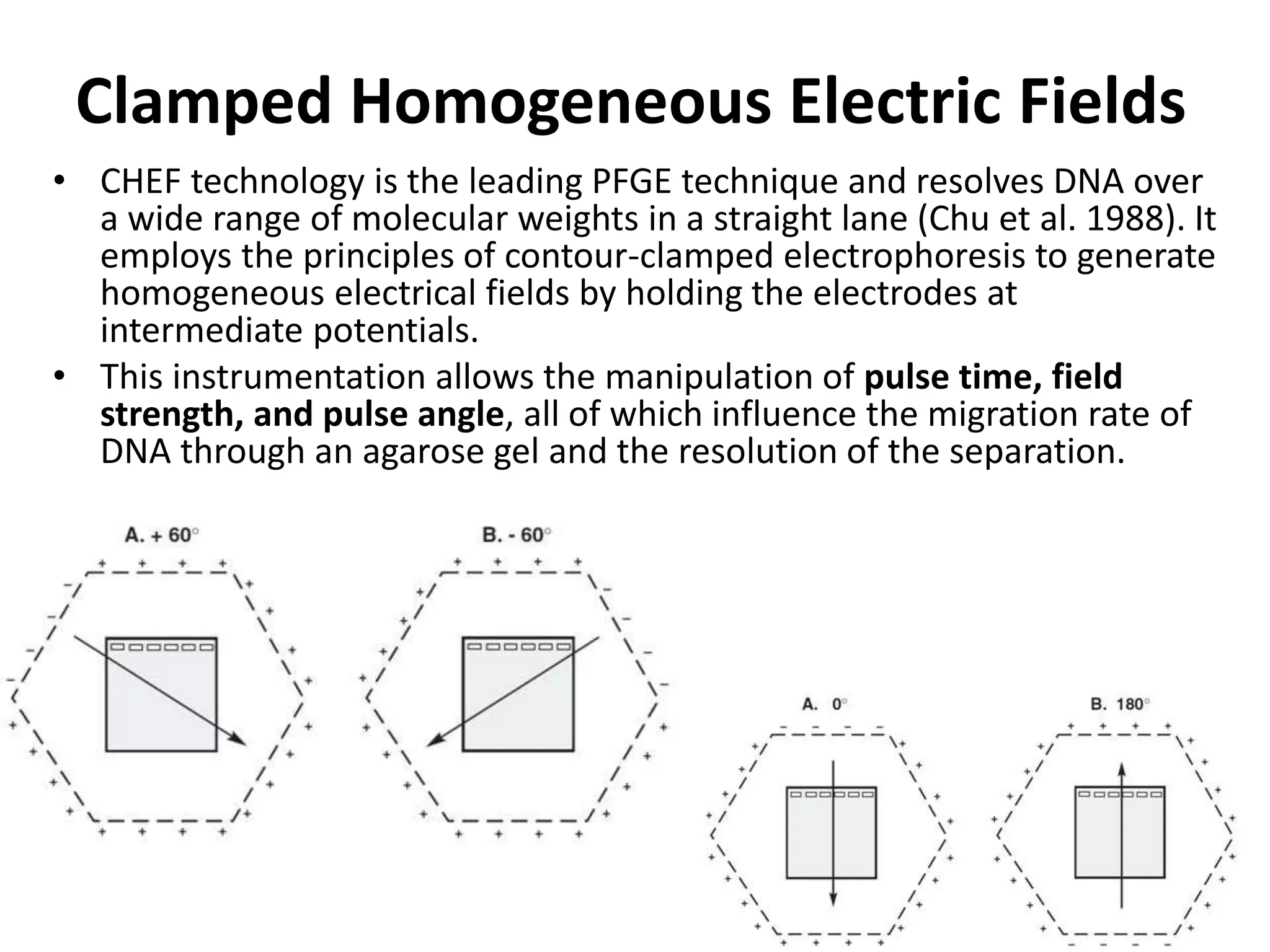 Physical maps and their use in annotations | PPTX