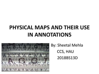 PHYSICAL MAPS AND THEIR USE
IN ANNOTATIONS
By: Sheetal Mehla
CCS, HAU
2018BS13D
 