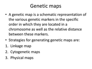 Physical maps and their use in annotations | PPTX
