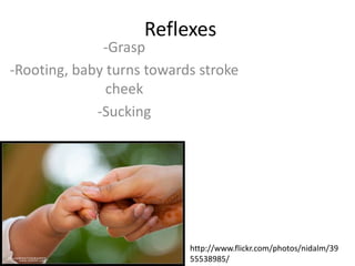 Reflexes -Grasp  -Rooting, baby turns towards stroke cheek -Sucking http://www.flickr.com/photos/nidalm/3955538985/ 