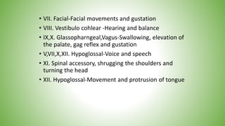 • VII. Facial-Facial movements and gustation
• VIII. Vestibulo cohlear -Hearing and balance
• IX,X. Glassopharngeal,Vagus-Swallowing, elevation of
the palate, gag reflex and gustation
• V,VII,X,XII. Hypoglossal-Voice and speech
• XI. Spinal accessory, shrugging the shoulders and
turning the head
• XII. Hypoglossal-Movement and protrusion of tongue
 