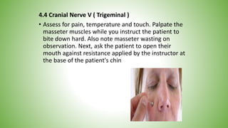 4.4 Cranial Nerve V ( Trigeminal )
• Assess for pain, temperature and touch. Palpate the
masseter muscles while you instruct the patient to
bite down hard. Also note masseter wasting on
observation. Next, ask the patient to open their
mouth against resistance applied by the instructor at
the base of the patient's chin
 