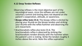 4.12 Deep Tendon Reflexes
Observing reflexes is the most objective part of the
neurological exam, since the reflexes are not under
voluntary control and testing does not depend on the
patient's cooperation, attitude, or awareness.
• Biceps reflex tests C5-6: The biceps reflex is elicited by
placing your thumb on the biceps tendon and striking
your thumb with the reflex hammer and observing the
arm movement.
• Brachioradialis reflex also tests C5-6. The
brachioradialis reflex is observed by striking the
brachioradialis tendon directly with the hammer when
the patient's arm is resting. Strike the tendon roughly 3
inches above the wrist. Note the reflex supination.
 