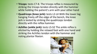 • Triceps: tests C7-8. The triceps reflex is measured by
striking the triceps tendon directly with the hammer
while holding the patient's arm with your other hand
• Quadriceps (knee jerk): tests L2-L4 With the lower leg
hanging freely off the edge of the bench, the knee
jerk is tested by striking the quadriceps tendon
directly with the reflex hammer.
• Achilles (ankle jerk): tests L5-S2 The ankle reflex is
elicited by holding the relaxed foot with one hand and
striking the Achilles tendon with the hammer and
noting plantar flexion.
 