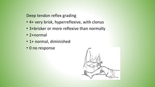 Deep tendon reflex grading
• 4+ very brisk, hyperreflexive, with clonus
• 3+brisker or more reflexive than normally
• 2+normal
• 1+ normal, diminished
• 0 no response
 