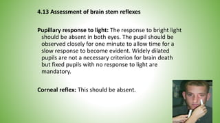 4.13 Assessment of brain stem reflexes
Pupillary response to light: The response to bright light
should be absent in both eyes. The pupil should be
observed closely for one minute to allow time for a
slow response to become evident. Widely dilated
pupils are not a necessary criterion for brain death
but fixed pupils with no response to light are
mandatory.
Corneal reflex: This should be absent.
 